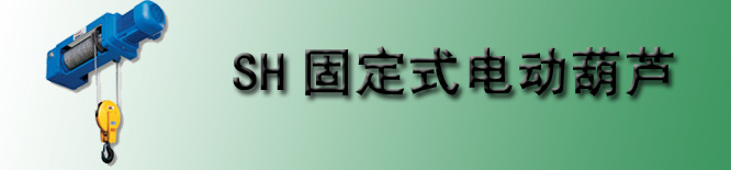 固定式钢丝绳电动葫芦